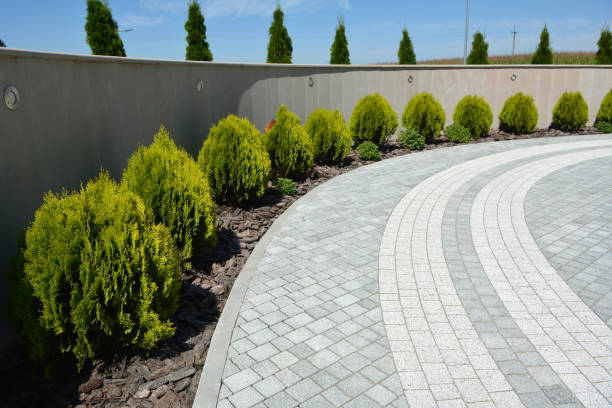 Best Interlocking Driveway Pavers  in Santa Paula, CA